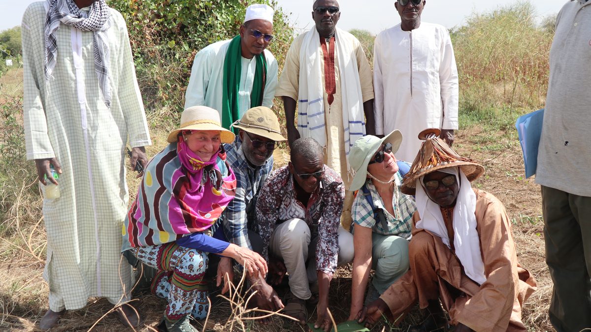 Rencontre de terrain — équipe AfriK'Écotour et acteurs locaux au Sahel