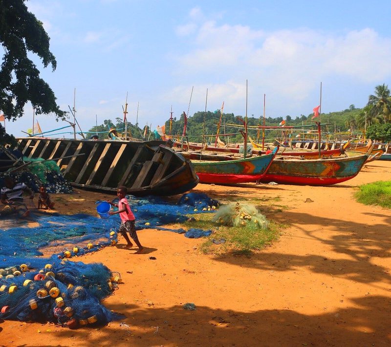 Port de pêche ivoirien — pirogues colorées, Côte d'Ivoire